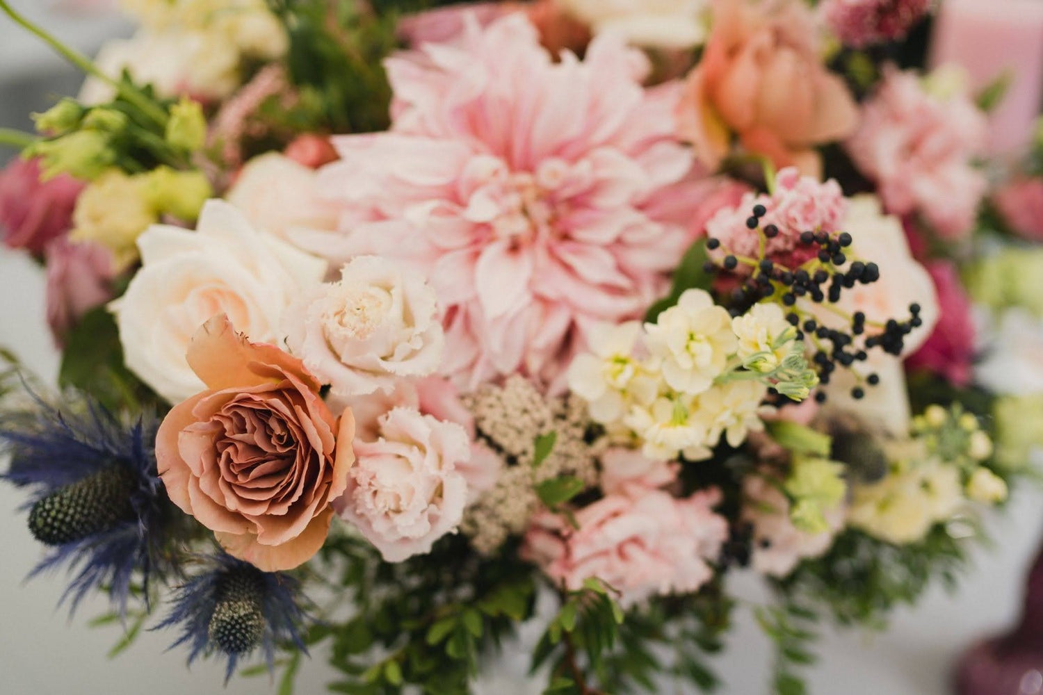 What Flower to Send for Every Occasions in Singapore