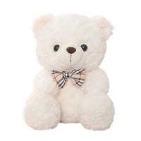 25CM WHITE TEDDY BEAR
