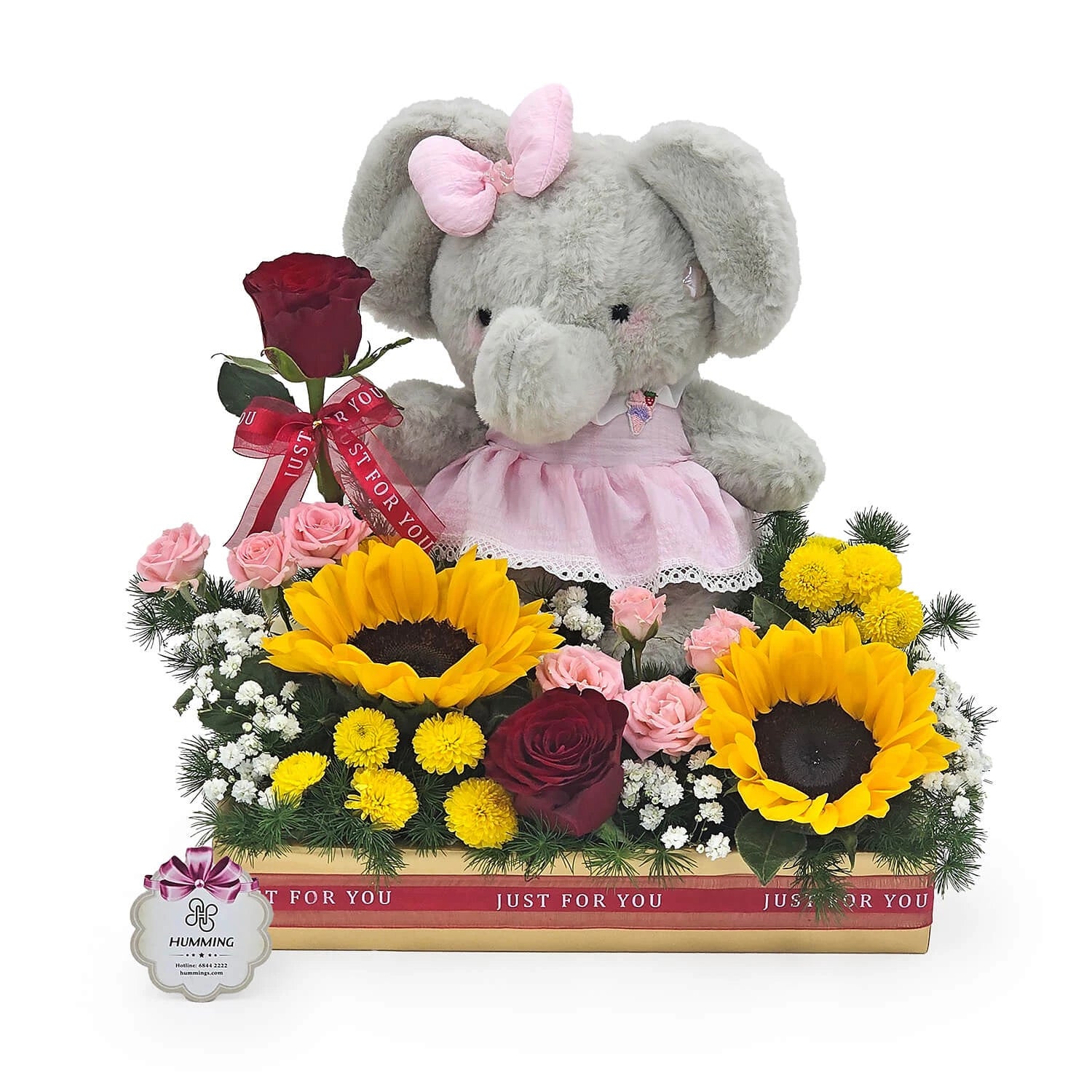 Ballerina's Dream Gift