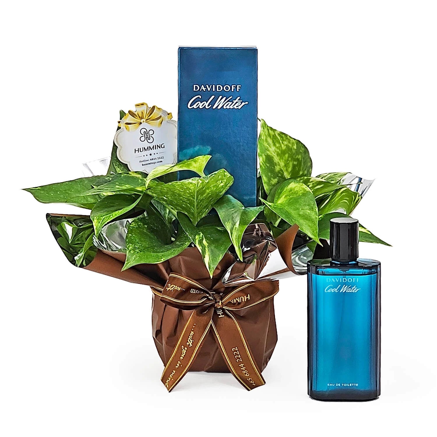 Just For Him -Davidoff Cool Water Men EDT