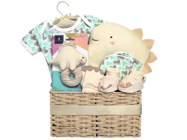 Baby Gift Hamper NB09