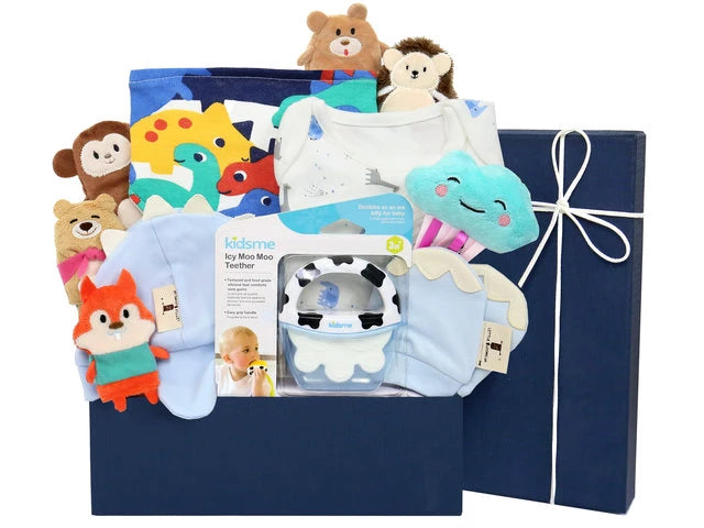 Baby Gift Hamper NB25