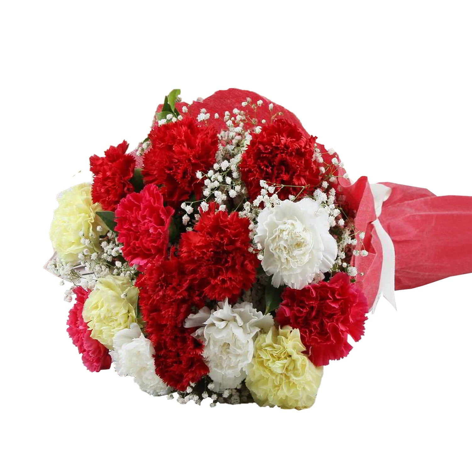 Mix Carnations Hand Bouquet