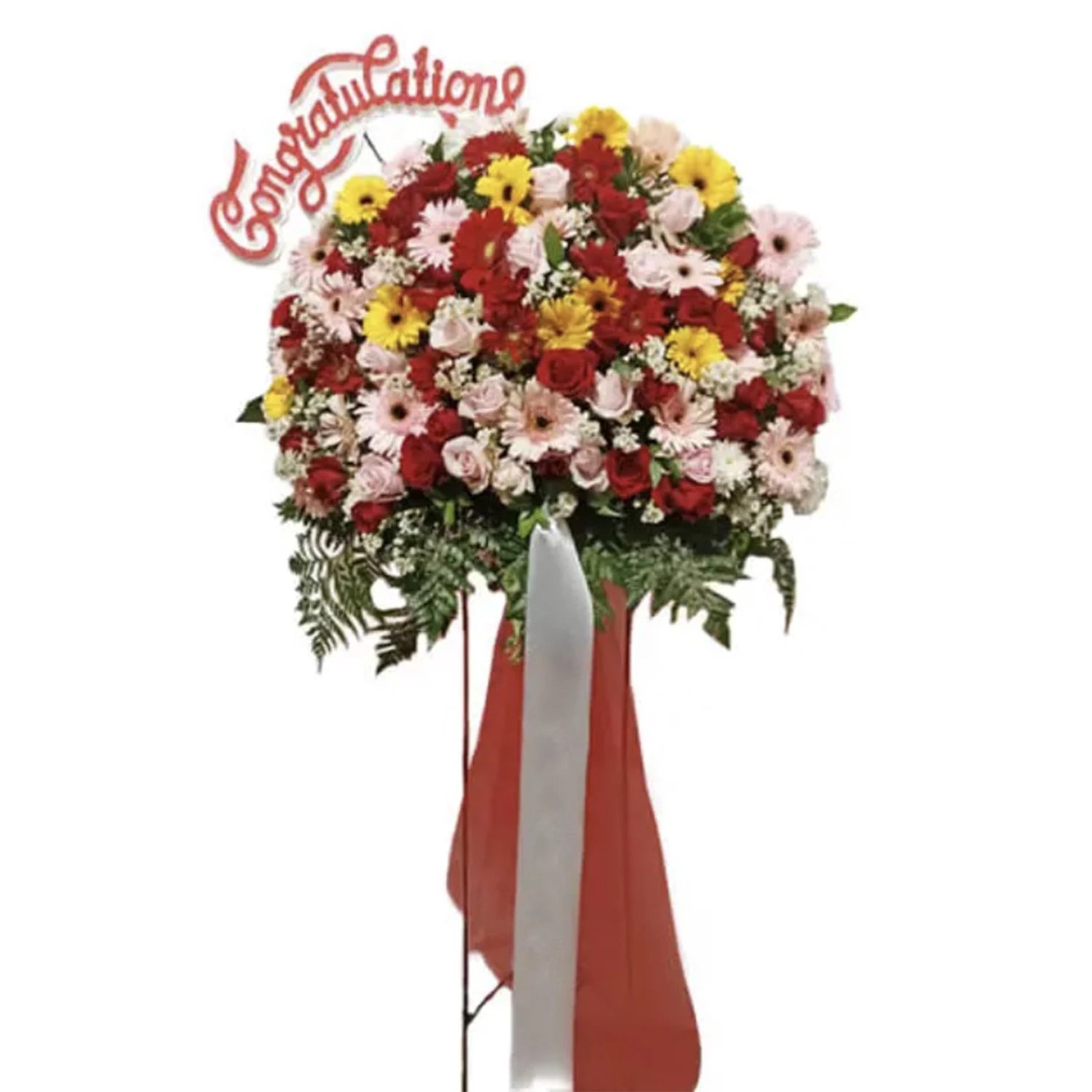 Red Parade Congratulatory Flower
