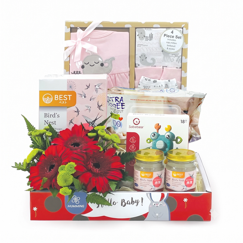 Value Baby Hamper (Girl)