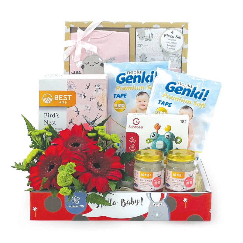 Value Baby Hamper (Girl)