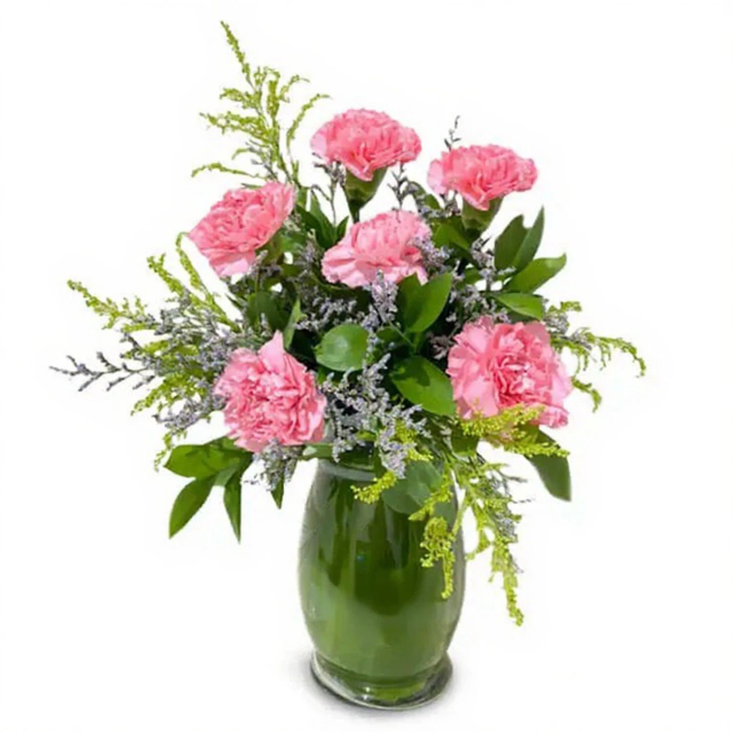 Lovely Carnations