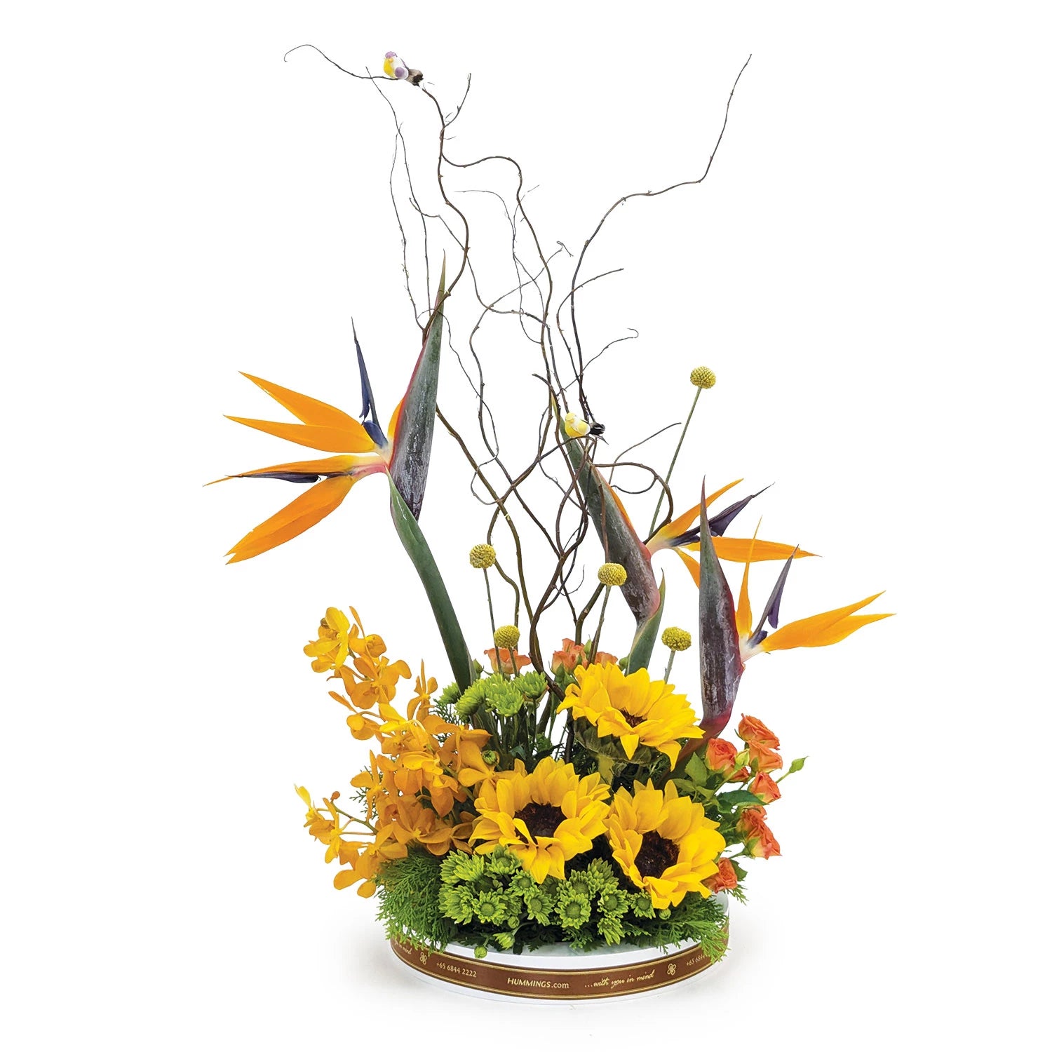 Birds of Paradise Table Flowers
